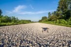 MITRE Reveals Winners of Counter-UAS Technology Challenge