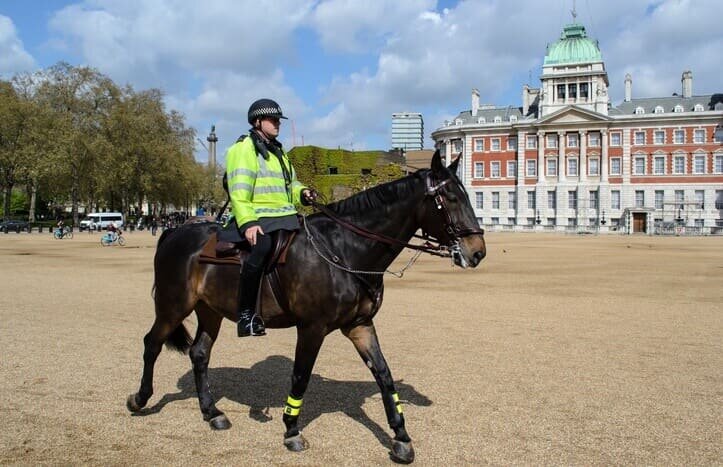 uk police