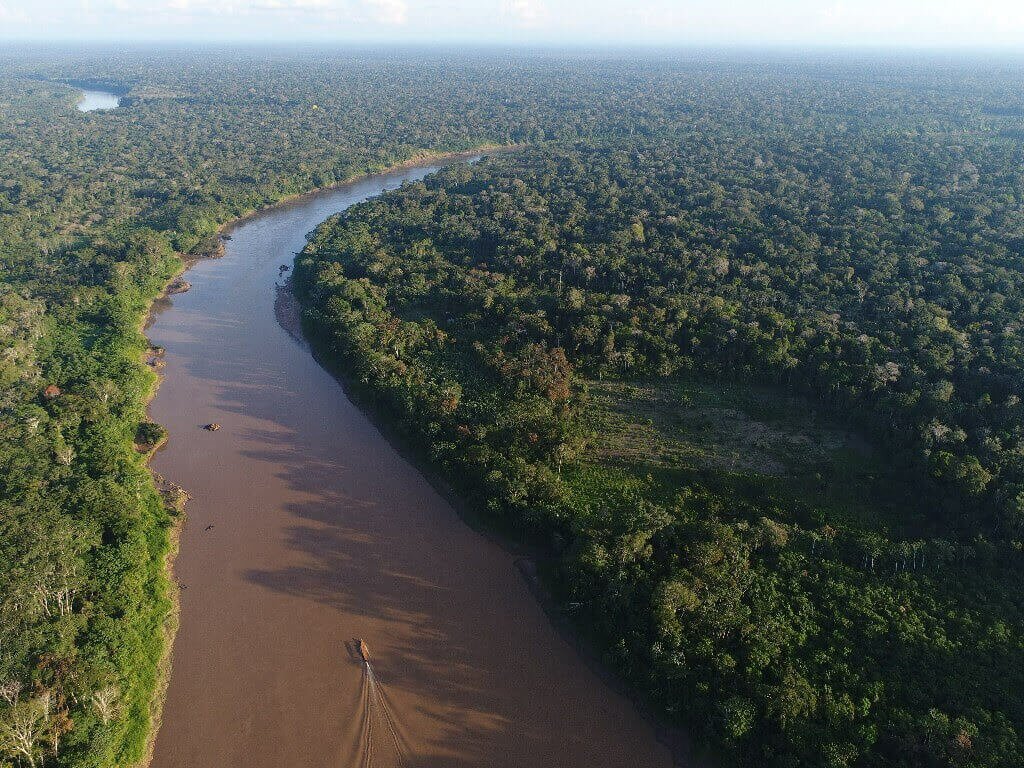 river Mapping the Forests of the Future: Drones Aid With Amazon Restoration