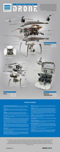 Dragonfly-infographic Here's What's Happening Inside a Drone